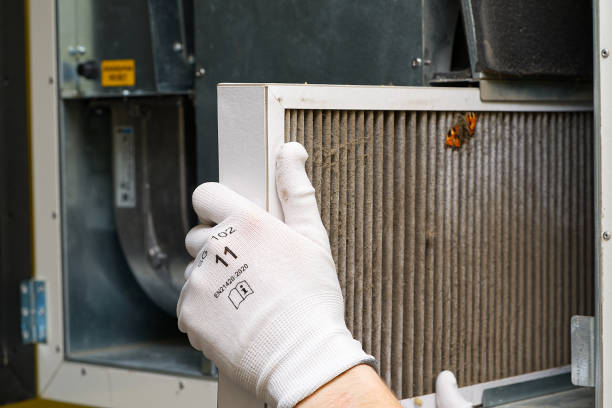 Best Air Vent Cleaning Services  in Yellville, AR