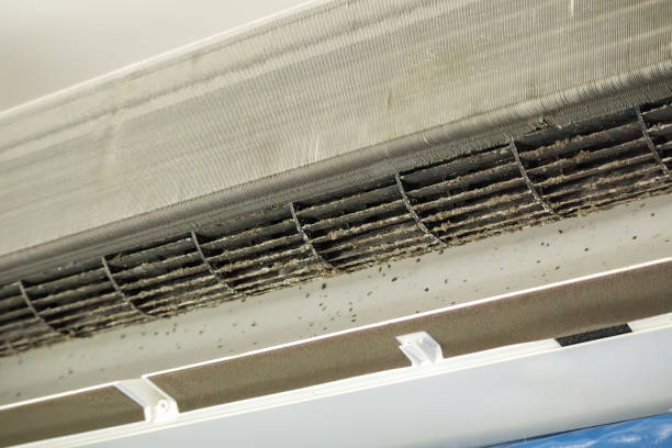 Best Residential Air Duct Cleaning  in Yellville, AR